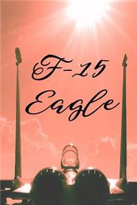F-15 Eagle Journal