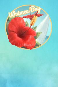 Waimea Bay Hawaii