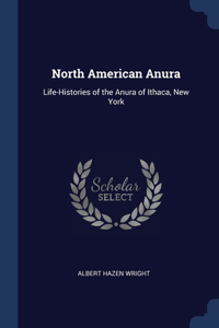 North American Anura