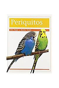 Periquitos (Parakeets)
