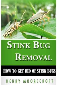 Stink Bug Removal