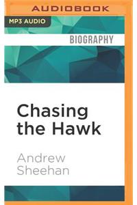 Chasing the Hawk