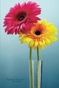 Bright Gerbera Daisies Journal