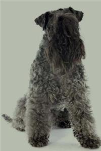 Kerry Blue Terrier: Artified Pets Journal/Notebook/Diary, 6" by 9" and 160 Pages