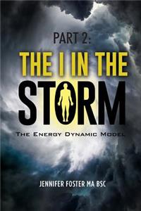 The Energy Dynamic Model: The I in the Storm