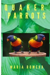 Quaker parrots