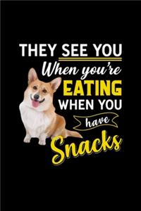 They See You When You Have Snacks Corgi Dog