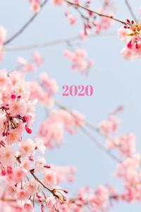2020