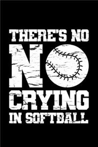 There's No Crying In Softball