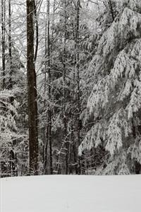 2020 Weekly Planner Beautiful Winter Season 134 Pages