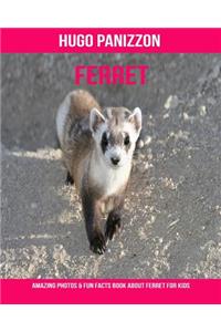 Ferret: Amazing Photos & Fun Facts Book about Ferret for Kids