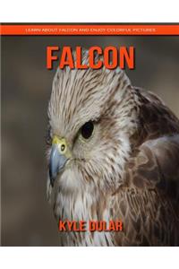 Falcon! Learn about Falcon and Enjoy Colorful Pictures
