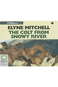 Colt from Snowy River