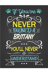 If You've Never Owned a Brittany