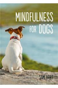 Mindfulness for Dogs