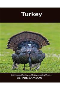 Turkey: Learn about Turkey and Enjoy Amazing Photos