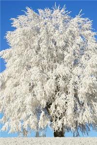 A Stunning Tree Completely Covered in Frost Journal