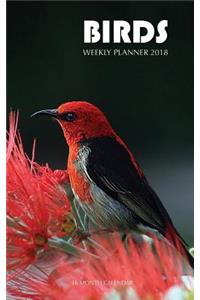 Birds Weekly Planner 2018