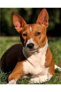 Daily Organizer and Planner