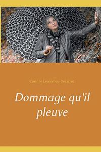 Dommage qu'il pleuve