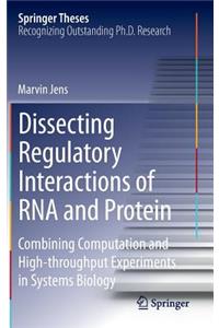 Dissecting Regulatory Interactions of RNA and Protein