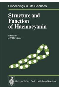 Structure and Function of Haemocyanin