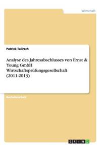 Analyse des Jahresabschlusses von Ernst & Young GmbH Wirtschaftsprüfungsgesellschaft (2011-2013)