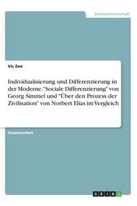 Individualisierung und Differenzierung in der Moderne. 