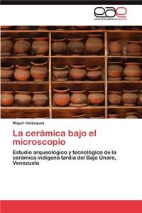 Ceramica Bajo El Microscopio