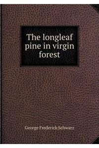 The Longleaf Pine in Virgin Forest