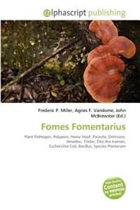 Fomes Fomentarius