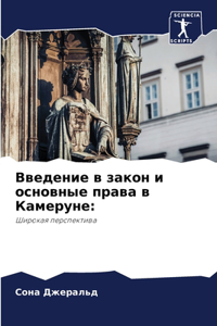 Введение в закон и основные права в Камер