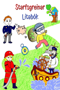 Starfsgreinar Litabók