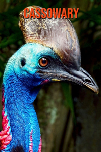 Cassowary