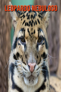 Leopardo nebuloso