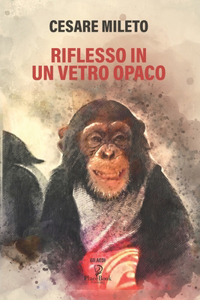 Riflesso in Un Vetro Opaco