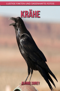 Krähe
