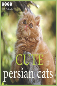 Cute persian cats