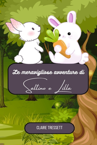 meravigliose avventure di Saltino e Lilla