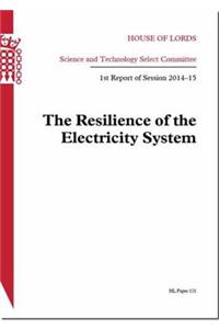 Resilience of the Electricity System