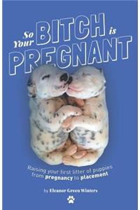 So Your Bitch Is Pregnant
