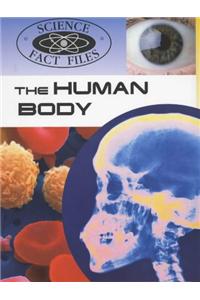Human Body