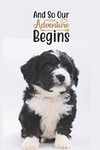 And So Our Adventure Begins: Maltese Puppy Dog Breed Book - Adorable Notebook Journal Diary for Kids or Dog Lovers Gift Lined Pages with Cute Dog Motifs