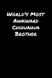 World's Most Awkward Chihuahua Brother