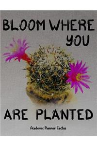 Bloom Where You Are Planted Academic Planner Cactus