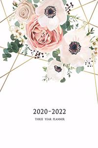 2020-2022 Three Year Planner