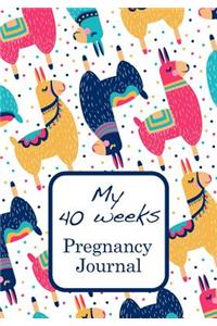 My 40 weeks Pregnancy Journal