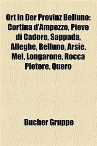 Ort in Der Provinz Belluno