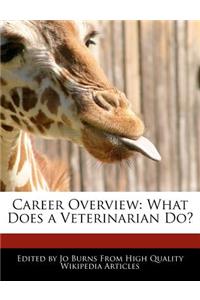 Career Overview