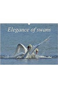 Elegance of Swans 2018